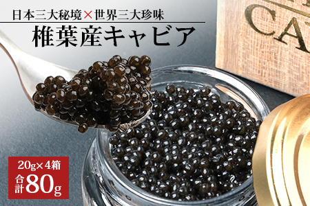 【桐箱入り】HEIKE CAVIAR 80ｇ 【宮崎県 椎葉村】【世界三大珍味×日本三大秘境】 国産 チョウザメ キャビア 魚卵 魚介 珍味 贈答 人気 SZ-110