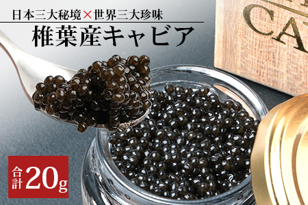 【桐箱入り】 国産 キャビア HEIKE CAVIAR 20g【宮崎県 椎葉村】チョウザメ 【世界三大珍味×日本三大秘境】 国産 キャビア 魚卵 チョウザメ 魚介 珍味 贈答 人気 SZ-103