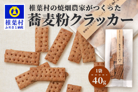 椎葉村の焼畑農家がつくった 蕎麦粉クラッカー【手づくりの焼菓子】［送料無料 宮崎県 椎葉村 椎葉 日本三大秘境 秘境 焼畑 やきはた くらっかー クラッカー 蕎麦 蕎麦粉 そば そばこ 蕎麦粉クラッカー おやつ おかし 菓子 お菓子 焼き菓子 無添加 手作り 自然 ギフト お土産］【YS-34】