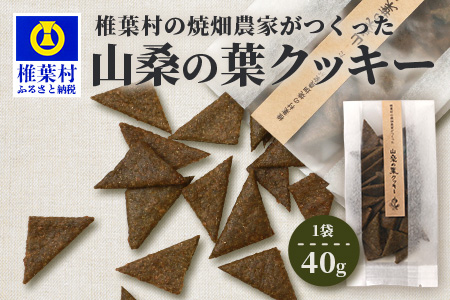 椎葉村の焼畑農家がつくった 山桑の葉クッキー【手づくりの焼菓子】［送料無料 宮崎県 椎葉村 椎葉 日本三大秘境 秘境 焼畑 やきはた くっきー クッキー 山桑 山桑の葉 山桑の葉クッキー おやつ おかし 菓子 お菓子 焼き菓子 無添加 手作り 自然 ギフト お土産］【YS-35】