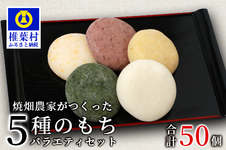焼畑農家がつくった5種のお餅バラエティセットB(白もち よもぎもち とうきびもち あずきもち あわもち)【日本三大秘境の地「椎葉村」からお届け】送料無料 宮崎県 宮崎 椎葉村 椎葉 餅 雑穀 もち モチ セット 食べ比べ 焼き餅 焼餅 正月 お祝い 祝い 美味しい うまい やきもち もち米 焼きもち 白もち よもぎもち 蓬もち とうきびもち あずきもち 小豆もち あわもち 粟もち【YS-50】