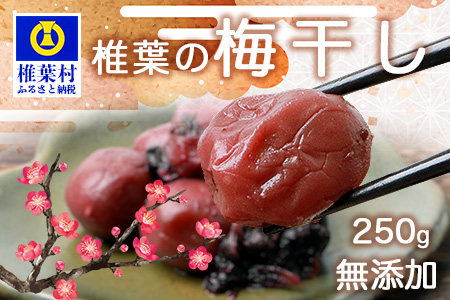 【秘境の里 椎葉のお漬物】椎葉の梅干し 250g【昔ながらの椎葉のすっぱいうめぼし】