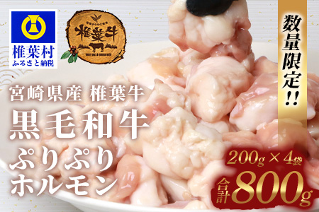 宮崎県産 椎葉牛 ぷりぷりホルモン（小腸）もつ鍋・焼肉用 200g×4P（800g）［宮崎 椎葉 国産 国産牛 もつ鍋 焼肉  バーベキュー 冷凍 ギフト］【TK-82】