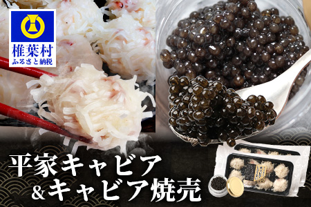 【日本三大秘境×世界三大珍味】キャビア焼売 8個入り×2パック＆平家キャビア 5gセット［宮崎 椎葉 国産 ちょうざめ チョウザメ きゃびあ キャビア しゅうまい シュウマイ 焼売 魚卵 卵 クリーミー お酒 魚介 珍味 加工品 冷凍 高級 贅沢 お取り寄せ ディナー パーティー おつまみ グルメ ギフト 記念日 誕生日 プレゼント お祝い 贈り物 贈答 セット 桐箱 希少］【SZ-136】