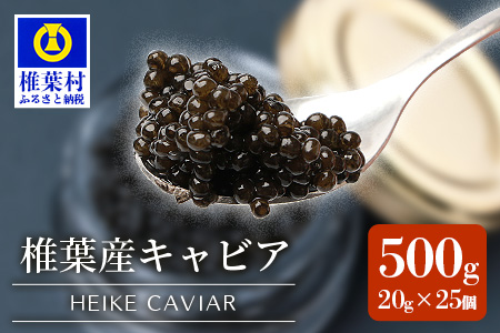 【世界三大珍味×日本三大秘境】HEIKE CAVIAR  500g  【20g×25個】【産地直送】［宮崎 椎葉 国産 ちょうざめ チョウザメ きゃびあ キャビア 500g 魚卵 卵 クリーミー お酒 魚介 珍味 加工品 冷凍 高級 贅沢 お取り寄せ お取り寄せグルメ ディナー パーティー おつまみ グルメ お祝い ギフト 記念日 誕生日 プレゼント 贈り物 贈答 桐箱 希少］【SZ-126】