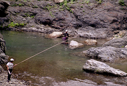 【先行受付：令和8年版】【椎葉での渓流釣りを楽しむ】遊漁許可証(年券) 耳川水系【釣り好き必見】【GK-1】[送料無料 宮崎県 宮崎 椎葉村 椎葉 遊漁券 遊漁許可証 許可証 釣り 釣 河 川 遊漁 券 年券 耳川水系 川魚 ヤマメ ヤマメ釣り 耳川水 体験]