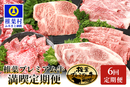 【定期便6回】総重量3.1kg 椎葉プレミアム牛満喫定期便［宮崎県 椎葉村 国産 国産牛 黒毛和牛 和牛 牛 牛肉 赤身 肉 お肉 ステーキ すき焼き しゃぶしゃぶ  焼肉  バーベキュー 冷凍］【TK-56】