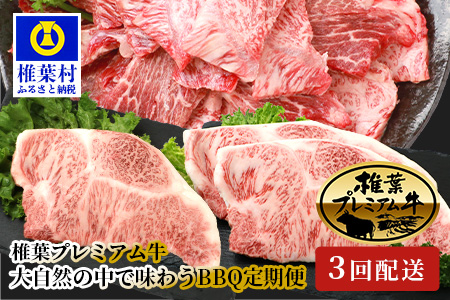 【定期便3回】総重量1.8kg 椎葉プレミアム牛 大自然の中で味わうBBQ定期便［宮崎県 椎葉村 国産 国産牛 黒毛和牛 和牛 牛 牛肉 赤身 肉 お肉 ステーキ バーベキュー 焼肉 冷凍］【TK-60】