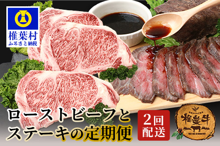 【定期便2回】総重量1kg 椎葉牛 ローストビーフとステーキの定期便 A5等級指定 ［宮崎県 椎葉村 国産 国産牛 黒毛和牛 和牛 牛 牛肉 赤身 肉 お肉 a5 A5 サーロイン ブロック肉 焼肉 冷凍］【TK-64】