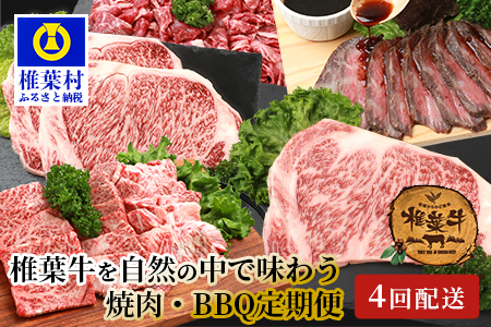 【定期便4回】総重量2.4kg！椎葉牛 大自然の中で味わう焼肉・BBQ定期便≪焼き肉・ステーキ・切り落とし・ローストビーフ≫【A5等級指定 黒毛和牛】A5ランク a5 A5【日本三大秘境 椎葉村 育ちの黒毛和牛】