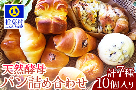 【秘境・椎葉村の愛されパン屋さん】 天然酵母パン 詰め合わせ 7種10個セット【送料無料 パン 冷凍 お取り寄せ 定期便 天然 酵母 詰め合せ セット 低温 長時間熟成 メロンパン あん塩 バターロール おさつ ブレッド デニッシュ ミニ食パン レーズン バターロール マヨ 朝食 手土産 手作り 保存食】【NF-26】