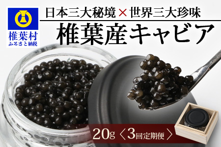 〈3回定期便〉【桐箱入り】 国産 キャビア 20g × 3回配送 計60g【世界三大珍味×日本三大秘境】 宮崎 椎葉 国産 チョウザメ キャビア 魚卵 定期便 魚介 珍味 贈答 希少 SZ-103_3teiki