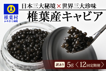 【12回定期便】【訳あり】国産 キャビア HEIKE CAVIAR 5g × 12回 計60g 【世界三大珍味×日本三大秘境】 訳あり 宮崎 椎葉 国産 チョウザメ キャビア 定期便 魚卵 魚介 珍味 贈答 希少 SZ-115_12teiki