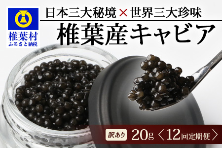 【12回定期便】【訳あり】 国産 キャビア HEIKE CAVIAR 20g × 12回 計240g 【世界三大珍味×日本三大秘境】 訳あり 宮崎 椎葉 国産 チョウザメ キャビア 定期便 魚卵 魚介 珍味 贈答 希少 SZ-117_12teiki