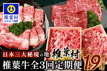 【定期便3回】総重量 1,900g 牛肉 椎葉牛の スライス肉 ＆ 切り落とし肉 お試し定期便 ３ヶ月 ３ヵ月 焼肉 焼き肉 すきやき すき焼き しゃぶしゃぶ TK-100
