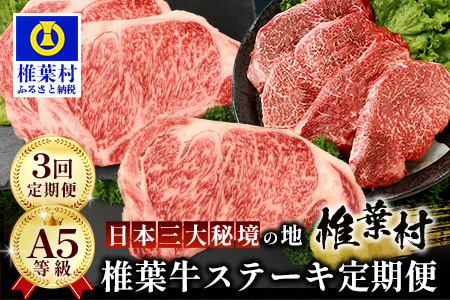【 定期便 全3回 】 月に1回のお楽しみ！ 椎葉牛ステーキ定期便 総重量 1,080g 【 日本三大秘境 椎葉村 育ちの黒毛和牛 】[ 牛肉 ステーキ 定期便 定期配送 肉 牛ヒレ ヒレ肉 ロース サーロイン A5等級指定 黒毛和牛 ブランド牛 A5ランク おすすめ 送料無料 ] TK-102