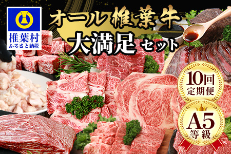 【 定期便 全10回 】 10ヶ月連続でお届け！ 牛肉 オール椎葉牛大満足セット 総重量 5,180g 【 日本三大秘境 椎葉村 育ちの黒毛和牛 】[ 牛肉 ステーキ 精肉 ホルモン モモ肉 ヒレ肉 定期便 定期配送 肉 スライス肉 サーロイン A5等級指定 黒毛和牛 ブランド牛 A5ランク おすすめ 送料無料 ] TK-105