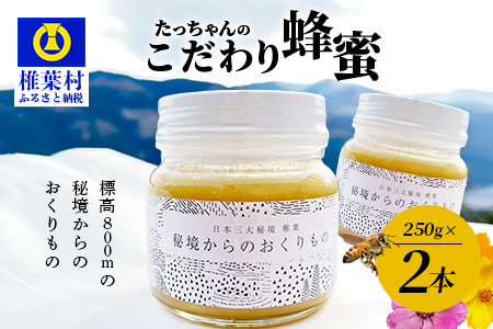 【無添加 非加熱】標高800m たっちゃんのこだわり蜂蜜【250g×2本】送料無料 宮崎県 椎葉村 秘境 蜂蜜 はちみつ ハチミツ みつばち ミツバチ 伝統的 養蜂 国産 天然 百花蜜 巣箱 数量限定 季節 希少 防災 備蓄 250g 500g【TN-02】