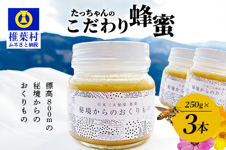 【無添加 非加熱】標高800m たっちゃんのこだわり蜂蜜【250g×3本】送料無料 宮崎県 椎葉村 秘境 蜂蜜 はちみつ ハチミツ みつばち ミツバチ 伝統的 養蜂 国産 天然 百花蜜 巣箱 数量限定 季節 希少 防災 備蓄 250g 500g 750g【TN-03】