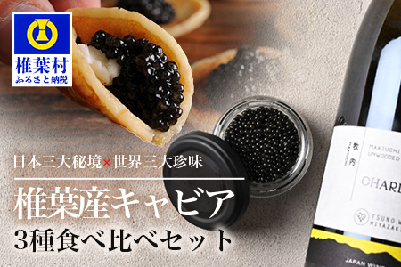 【世界三大珍味×日本三大秘境】HEIKE CAVIAR  3種食べ比べセット20g×3【産地直送】【簡易包装】［宮崎 椎葉 国産 きゃびあ キャビア ワイン ワインキャビア 金柑 金柑キャビア 魚卵 卵 世界三大珍味 加工品 冷凍 高級 高級品 贅沢 お取り寄せ お取り寄せグルメ  ディナー パーティー おつまみ グルメ ギフト 誕生日 プレゼント お祝い 贈り物 桐箱 希少］【SZ-131】