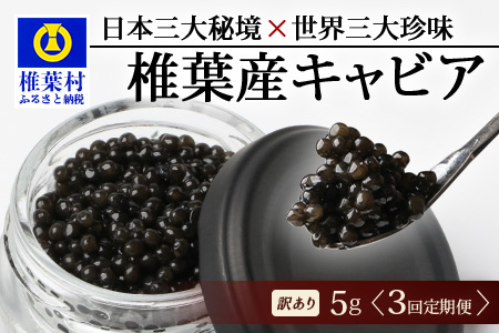 [3回定期便][訳あり]国産 キャビア HEIKE CAVIAR 5g × 3回 計15g [世界三大珍味×日本三大秘境] 訳あり 宮崎 椎葉 国産 チョウザメ キャビア 定期便 魚卵 魚介 珍味 贈答 希少 SZ-115_3teiki
