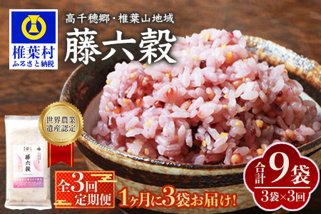【3回定期便】【雑穀米】藤の花色に染まる美しい六穀米《藤六穀》300g×3袋 3回配送【世界農業遺産 高千穂郷・椎葉山地域】送料無料 定期便 定期 保存食 非常食 米 お米 ご飯 ご当地 贈り物 手土産 お土産 挨拶 祝い ギフト 父 母 栄養 健康 うるち米 たかきび 挽割とうもろこし もちあわ もち麦 黒米【TT-16】