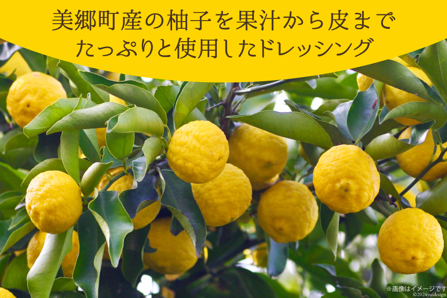 調味料 ゆず ドレッシング 300ml×2本 セット [農林産物直売所 美郷ノ蔵 宮崎県 美郷町 31ab0072] ゆず皮入 産柚子使用 ギフト 調味料 宮崎県産 美郷産 送料無料 柚子 冷しゃぶ 豆腐 サラダ 手作り プレゼント 贈り物 父の日 母の日 詰め合わせ