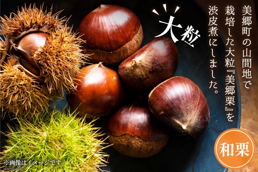 和菓子 栗の渋皮煮 200g×5袋 セット [農林産物直売所 美郷ノ蔵 宮崎県 美郷町 31ab0094] 栗 国産 和栗 栗の渋皮煮 ギフト 栗づくし 和菓子 スイーツ おせち 宮崎県産 美郷産 送料無料 母の日 父の日 プレゼント ギフト 贈り物 おやつ お菓子 手作り 手づくり お試し