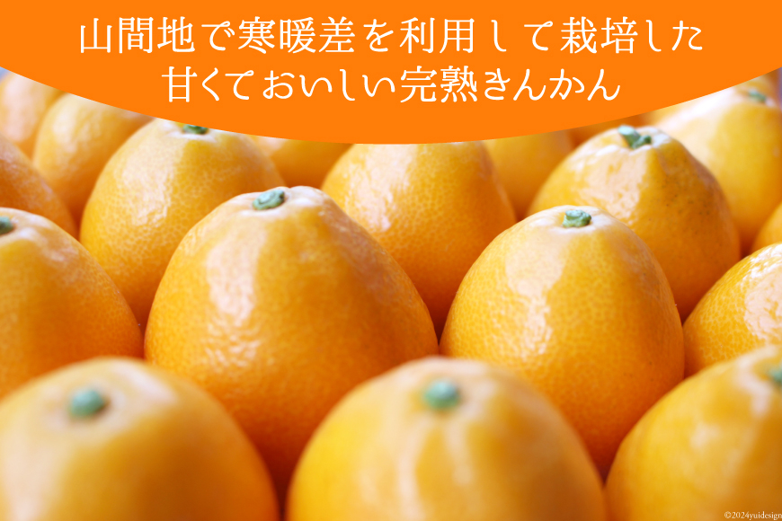 完熟 きんかん 甘露煮 170g×2袋 セット [農林産物直売所 美郷ノ蔵 宮崎県 美郷町 31ab0096] おせち デザート 宮崎県産 美郷産 送料無料 金柑 フルーツ 果物 加工品 おやつ お菓子 手作り 手づくり 詰め合わせ ヨーグルト ギフト プレゼント 贈り物 父の日 母の日 お試し