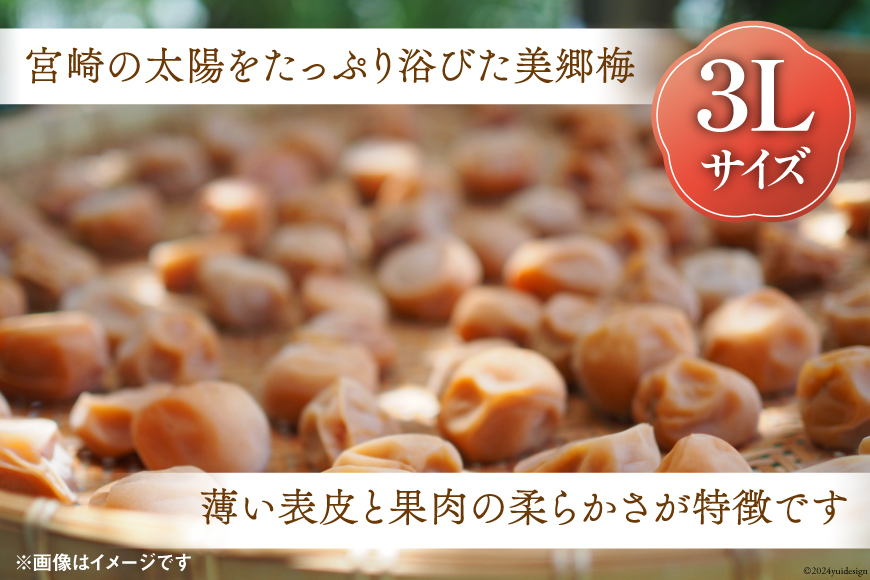 南高梅 梅干し 美郷梅 一粒入り うま味昆布 & シソ風味 各6粒 3Lサイズ A級品 化粧箱入り [農林産物直売所 美郷ノ蔵 宮崎県 美郷町 31ab0101] 国産 セット 詰め合わせ 宮崎県産 美郷産 常温 送料無料 贈答品 父の日 母の日 プレゼント ギフト