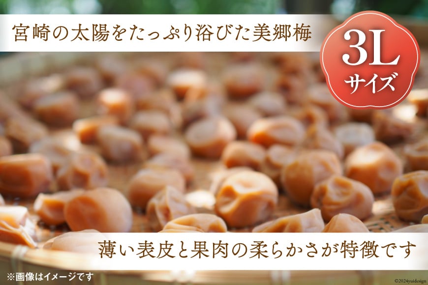 南高梅 梅干し 美郷梅 昆布 200g×2 3Lサイズ 塩分控えめ A級品 [農林産物直売所 美郷ノ蔵 宮崎県 美郷町 31ab0109] 国産 宮崎県産 美郷産 常温 送料無料 贈答品 父の日 母の日 プレゼント ギフト おやつ お菓子 料理 調理 おかず