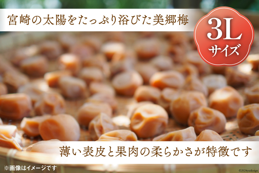 南高梅 梅干し 美郷梅 昆布 400g×2個 3Lサイズ 塩分控えめ A級品 [農林産物直売所 美郷ノ蔵 宮崎県 美郷町 31ab0112] 国産 宮崎県産 美郷産 常温 送料無料 贈答品 父の日 母の日 プレゼント ギフト 贈り物 おやつ お菓子 料理 調理 おかず 普段使い