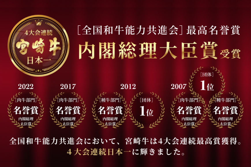 牛肉 宮崎牛 小間切れ 200g 5p 計1kg [マルミヤストア 宮崎県 美郷町 31ag0108] 小分け 国産 黒毛和牛 黒毛 和牛 BBQ