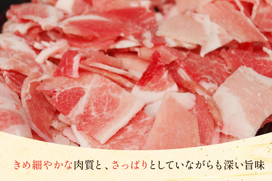 豚肉 宮崎県産 豚 小間切れ 200g 5P 計1kg [マルミヤストア 宮崎県 美郷町 31ag0144] 小分け 豚こま 豚コマ 細切れ