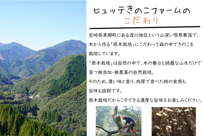 宮崎県産 乾燥 椎茸 100g×1袋 チャック袋入 [ HUTTE 宮崎県 美郷町 31ao0013] 干ししいたけ 出汁 オーガニック 原木栽培 有機JAS認証 大容量 料理 調理 常温 渡川 アヒージョ 煮物 煮付け おかず おこわ 鍋 みそ汁 炒め物 うどん そば スープ パスタ リゾット 春巻き 数量限定