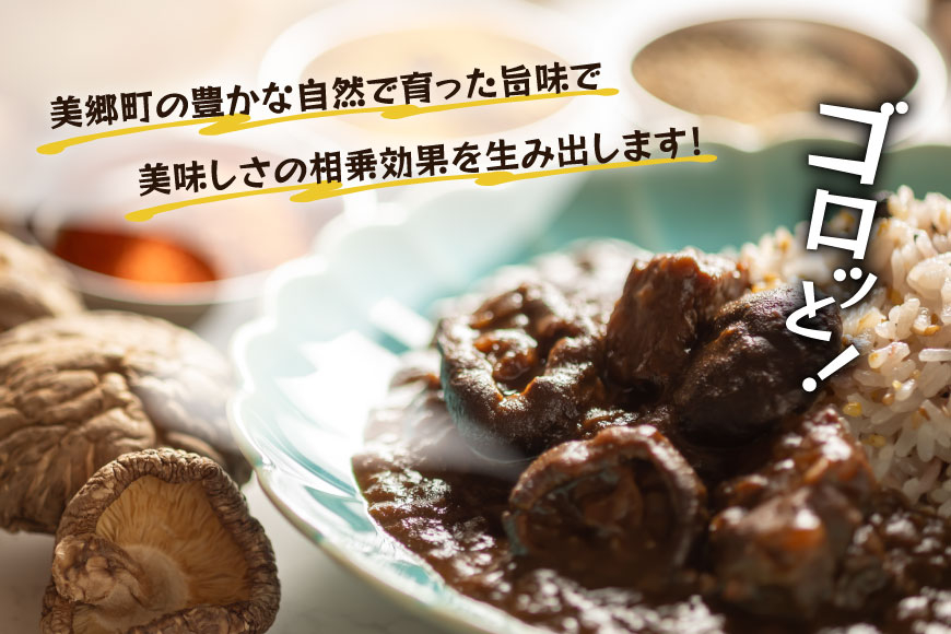 カレー レトルト 山師のおひさま なばカレー 宮崎牛 原木椎茸 使用 180g [HUTTE 宮崎県 美郷町 31ao0025] 常温保存 カレー 欧風カレー 常備食 保存食 防災 備蓄 非常食 防災食 簡単調理