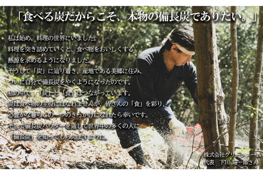 食用 日向備長炭 パウダー 500g 業務用 [グリーンノーム 宮崎県 美郷町 31ar0009] 粉 炭 宮崎県 着色料 お菓子 調味料 飲料 炭素 ミネラル 料理 粉末 デトックス 送料無料