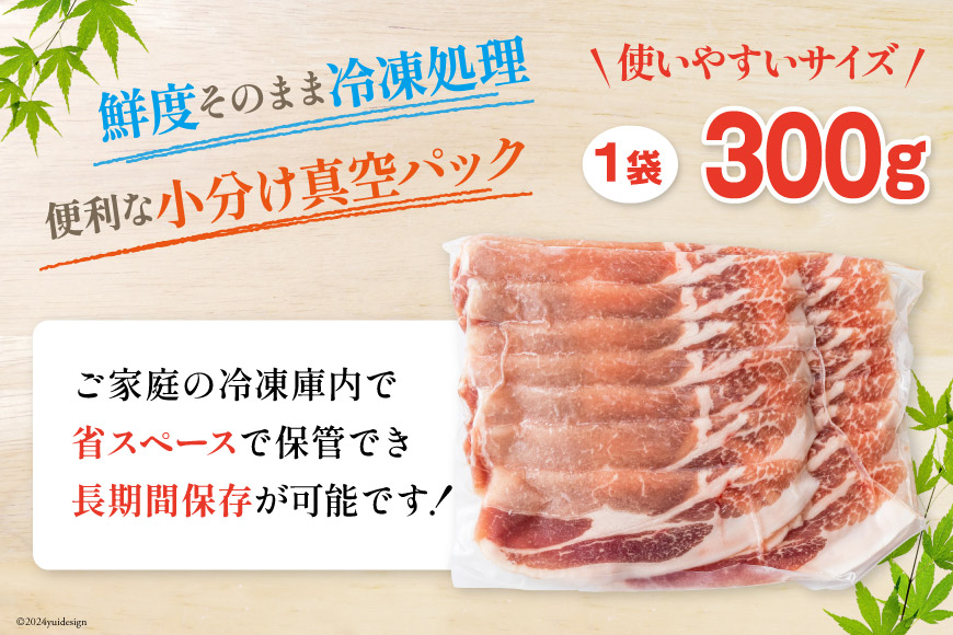 豚肉 豚しゃぶ ロース バラ モモ 食べ比べ セット 3種 各300g×6 合計5.4kg [甲斐精肉店 宮崎県 美郷町 31as0098] 豚 詰め合わせ 薄切り スライス 小分け 冷凍 宮崎県産 国産 しゃぶしゃぶ 真空包装 うす切り
