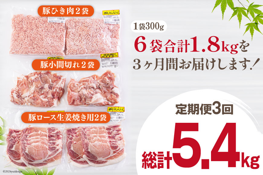 3回 定期便 宮崎県産 豚肉 ３種 セット ひき肉 こま切れ ロース生姜焼き用 小分け 合計5.4kg 各300g×2 [甲斐精肉店 宮崎県 美郷町 31as0116] 冷凍 宮崎県産 豚 肉 送料無料 炒め物 煮込み 豚丼 そぼろ丼 ハンバーグ 豚汁 キーマカレー 詰め合わせ 真空包装