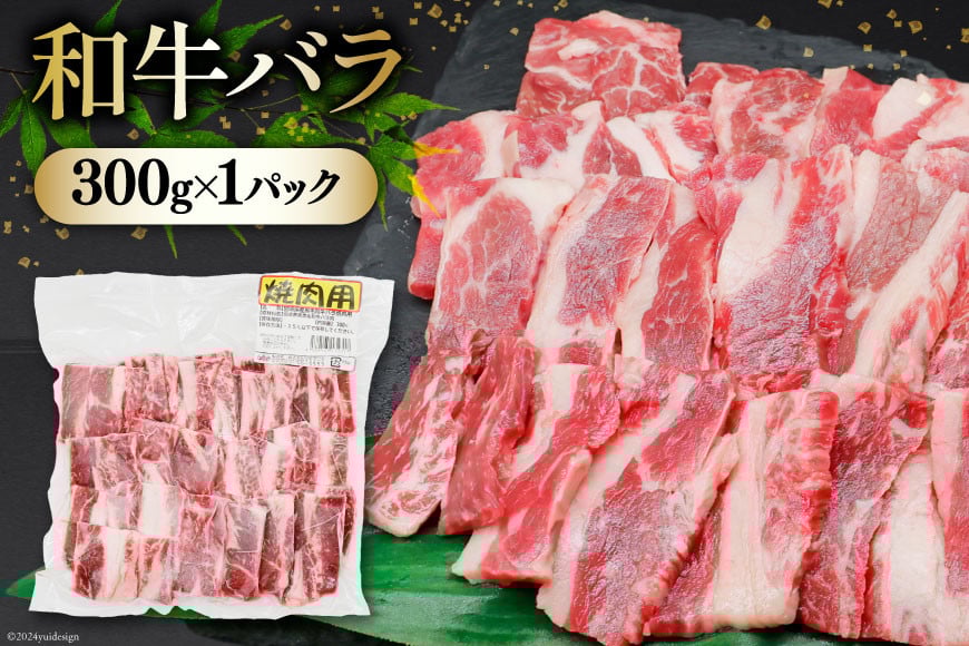 肉 セット 宮崎県産牛 豚 鶏 バーべキューセット 計1.8kg [甲斐精肉店 宮崎県 美郷町 31as0120] 冷凍 小分け 牛肉 豚肉 鶏肉 牛バラ 豚バラ ロース もも モモ 鶏もも 焼肉
