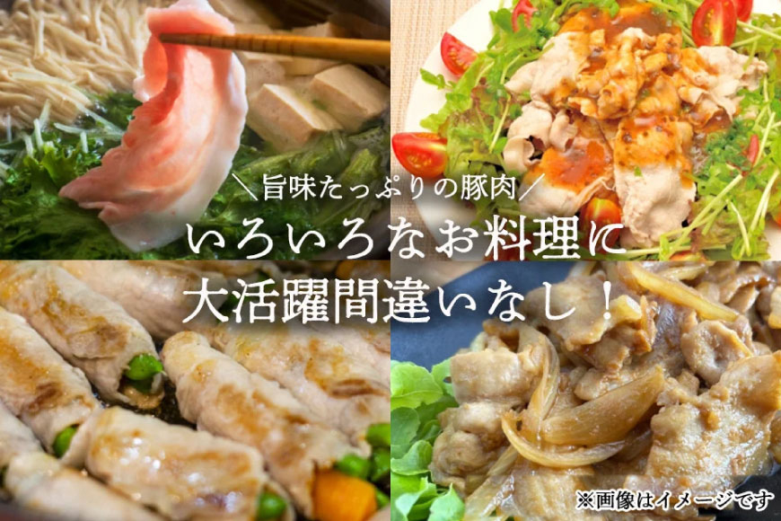 豚肉 ロース 宮崎県産 豚ロース しゃぶしゃぶ 用 500g ×3 計 1.5kg [ミヤチク 宮崎県 美郷町 31au0101] 小分け 冷凍 個包装 国産 宮崎 薄切り スライス