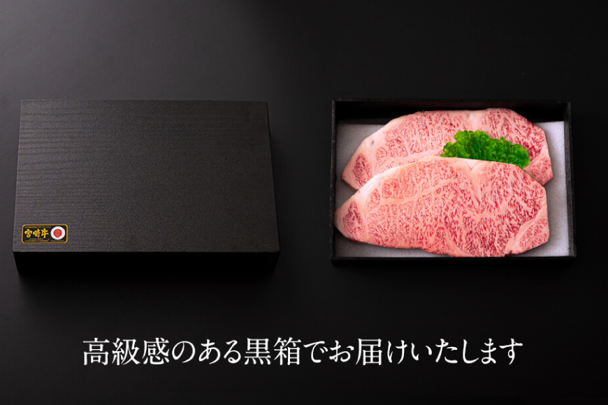 宮崎牛 サーロイン ステーキ 200g×2 合計400g [ハツトリー 宮崎県 美郷町 31aw0007] 牛肉 冷凍 内閣総理大臣賞受賞 国産 黒毛和牛 宮崎県産 ブランド牛 送料無料 BBQ バーベキュー キャンプ ギフト 贈り物 プレゼント 父の日 母の日