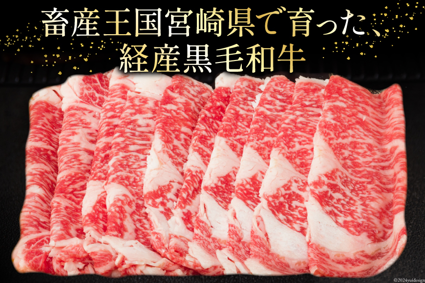 宮崎県産 黒毛和牛 リブロース スライス 500g×3 計1.5kg [サンアグリフーズ 宮崎県 美郷町 31ba0027] 小分け 冷凍 送料無料 リブ ロース 国産 牛 肉 すき焼き しゃぶしゃぶ 牛丼 炒め物 焼肉 希少部位