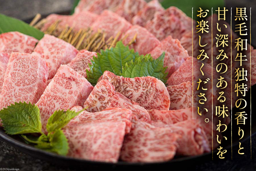 黒毛和牛 特選 カルビ 焼肉 500g [アグリ産業匠泰 宮崎県 美郷町 31be0049] 牛肉 炒め BBQ バーベキュー キャンプ 普段使い 調理 おかず 料理 国産 送料無料 パック 厳選 カルビ丼 クッパ 焼肉丼 スープ チャーハン 生春巻き マリネ 照り焼き 甘辛炒め チンジャオロース 青椒肉絲