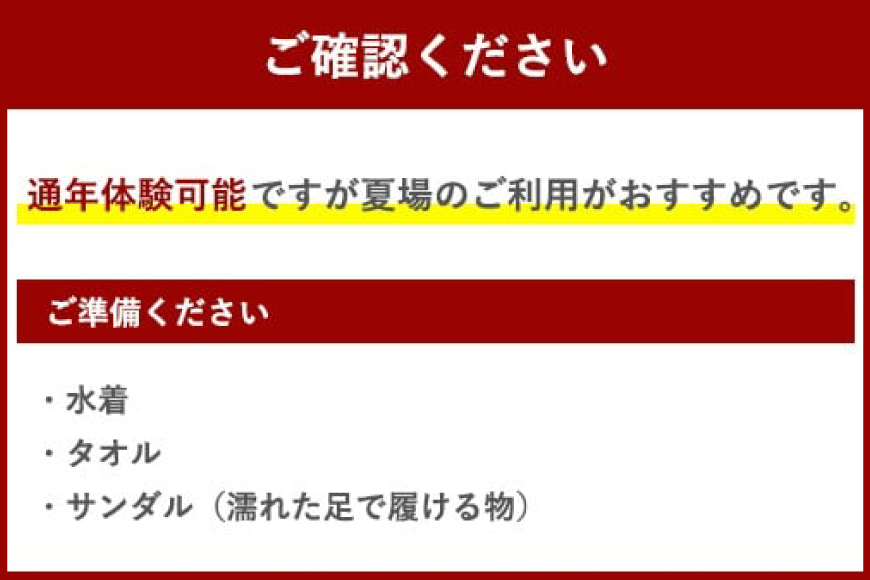 体験 ウェイクボード 初心者体験コース [SHOP川口機工 宮崎県 美郷町 31bj0013] アクティビティ 夏 スポーツ体験 マリンスポーツ 利用券 利用権