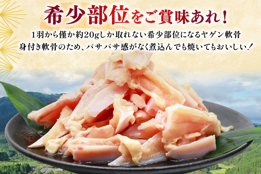 鶏肉 定期便 軟骨 若鶏 鶏軟骨 1kg 2p 3回 総計6kg [ミヤケイフード 宮崎県 美郷町 31bp0004] 小分け 冷凍 ヤゲン軟骨 ヤゲン なんこつ とりにく