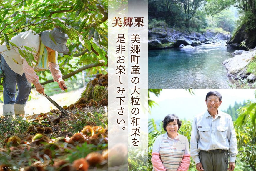 和菓子 栗の渋皮煮 200g×2袋 セット [農林産物直売所 美郷ノ蔵 宮崎県 美郷町 31ab0093] 栗 国産 和栗 栗の渋皮煮 ギフト 栗づくし 和菓子 スイーツ おせち 宮崎県産 美郷産 送料無料 母の日 父の日 プレゼント ギフト 贈り物 おやつ お菓子 手作り 手づくり お試し