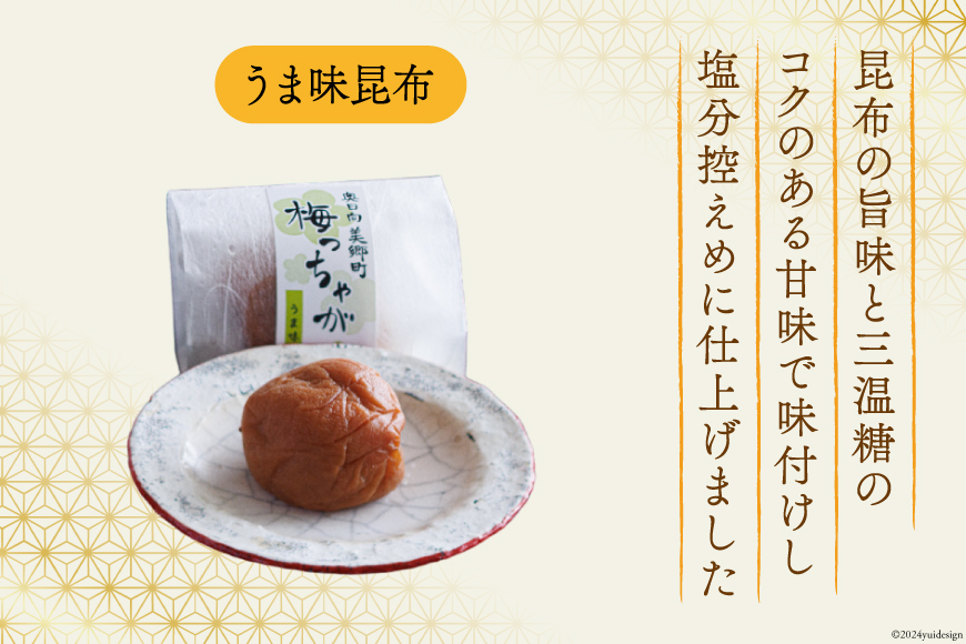 南高梅 梅干し 美郷梅 一粒入り うま味昆布 & シソ風味 各6粒 3Lサイズ A級品 化粧箱入り [農林産物直売所 美郷ノ蔵 宮崎県 美郷町 31ab0101] 国産 セット 詰め合わせ 宮崎県産 美郷産 常温 送料無料 贈答品 父の日 母の日 プレゼント ギフト