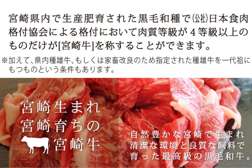 牛肉 宮崎牛 小間切れ 200g 5p 計1kg [マルミヤストア 宮崎県 美郷町 31ag0108] 小分け 国産 黒毛和牛 黒毛 和牛 BBQ