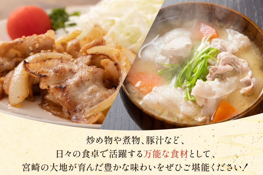 豚肉 宮崎県産 豚 小間切れ 200g 5P 計1kg [マルミヤストア 宮崎県 美郷町 31ag0144] 小分け 豚こま 豚コマ 細切れ